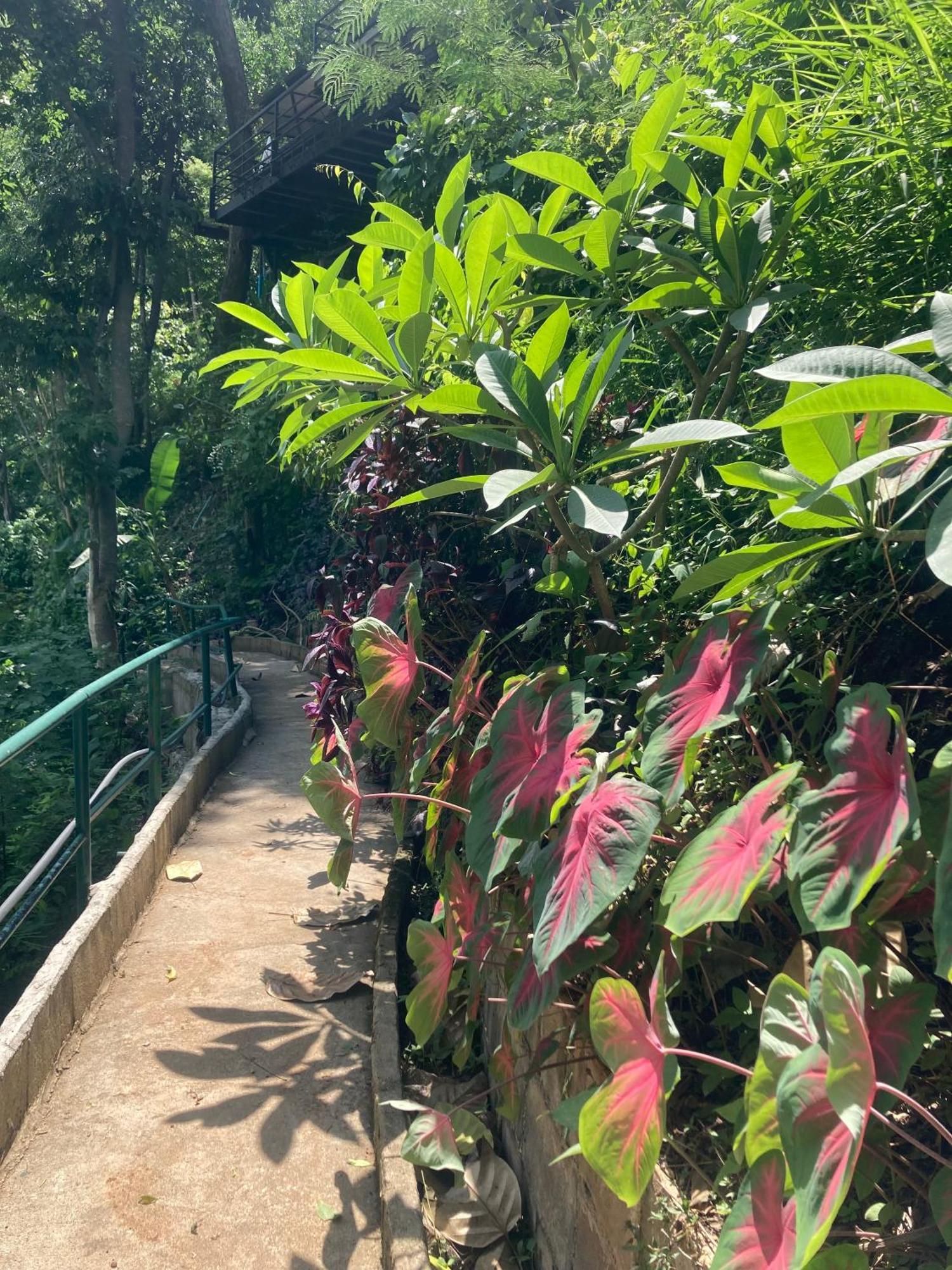 Maesa Greenery Hill Sha Мае Рим Екстериор снимка